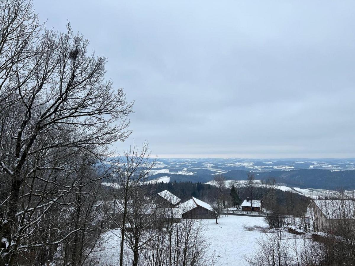 Ferienwohnungen Bayerischer Wald Mit Pool フライウング エクステリア 写真