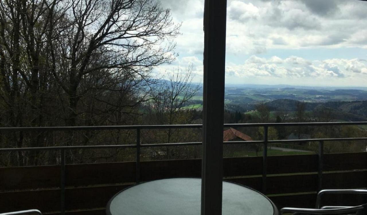 Ferienwohnungen Bayerischer Wald Mit Pool フライウング エクステリア 写真
