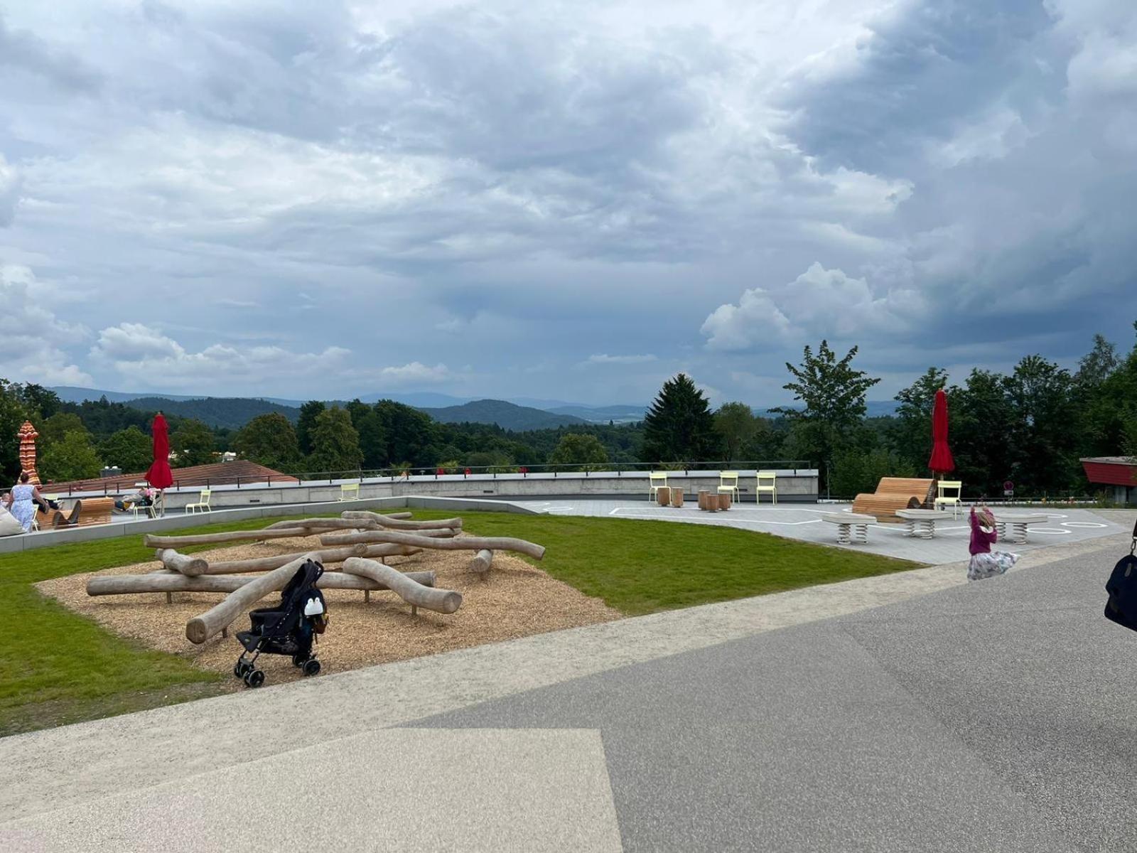 Ferienwohnungen Bayerischer Wald Mit Pool フライウング エクステリア 写真