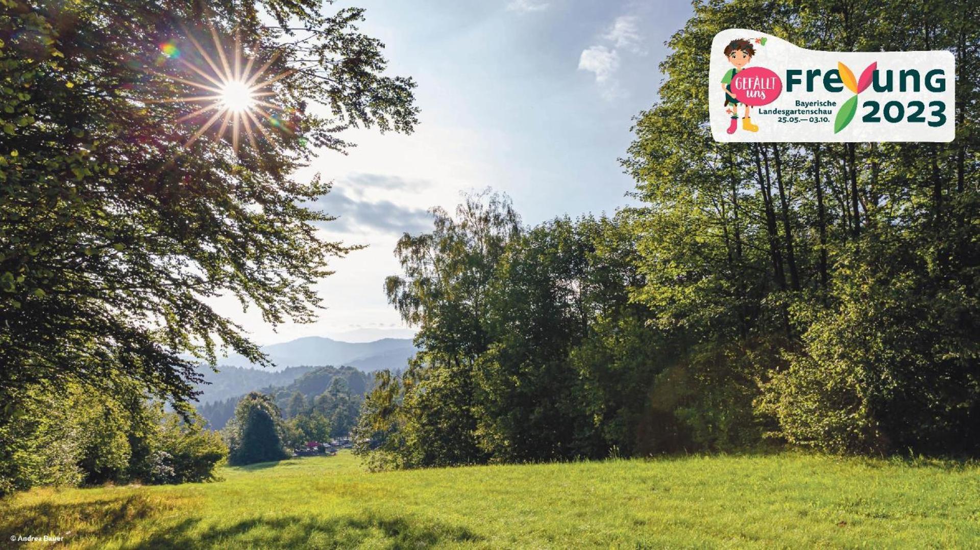 Ferienwohnungen Bayerischer Wald Mit Pool フライウング エクステリア 写真