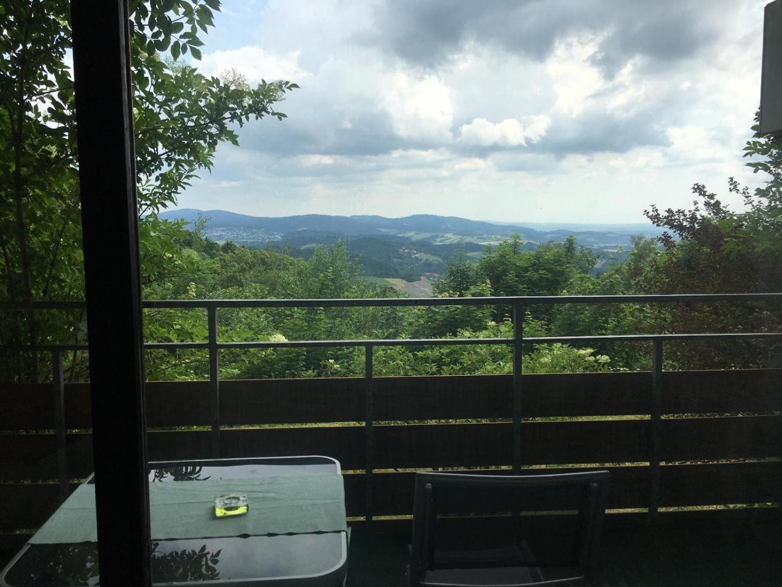 Ferienwohnungen Bayerischer Wald Mit Pool フライウング エクステリア 写真